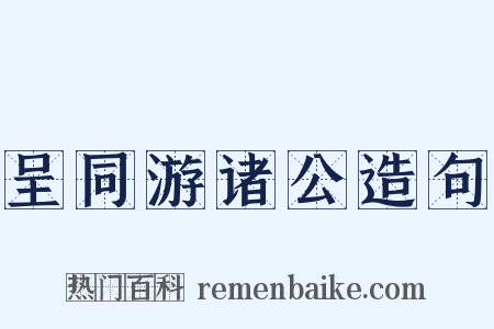 呈同游诸公造句是什么意思的图片